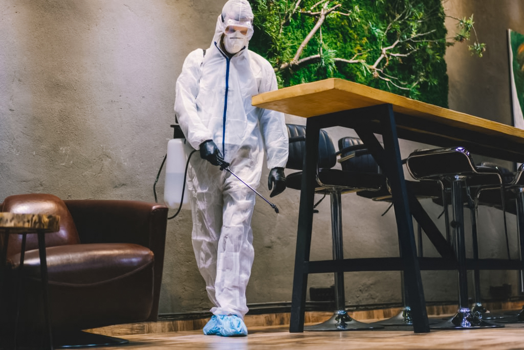 Maltepe'de bahçe ilaçlama hizmeti uygulayan uzman ekip ve yeşil alan