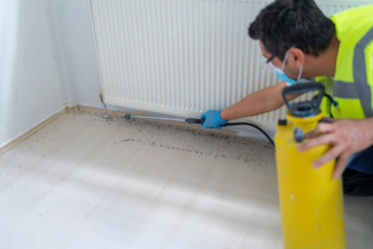 Evde pire ilaçlama uygulaması yapan profesyonel ekip